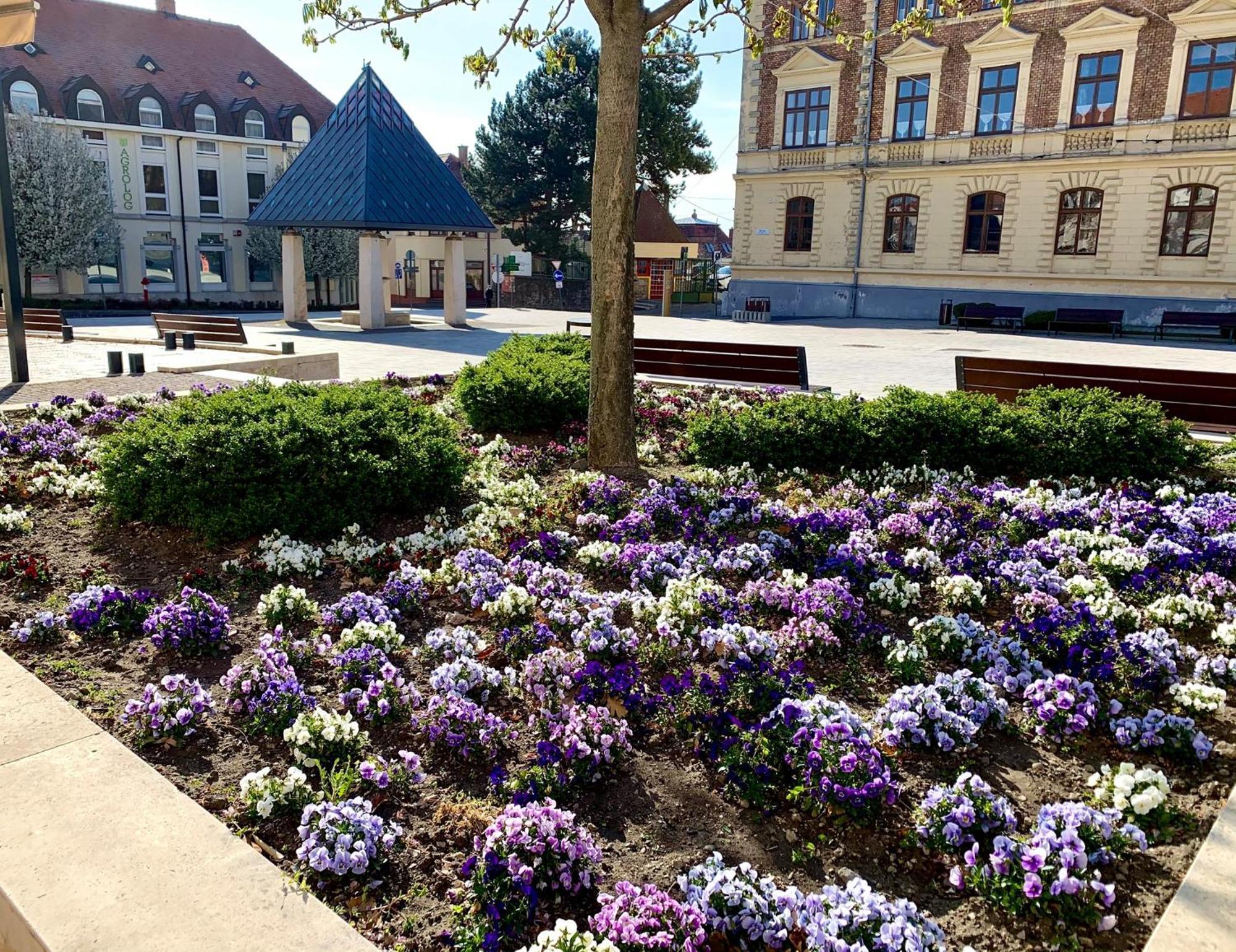 Ciao Lilla Apartman Keszthely Luaran gambar
